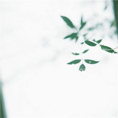 日本寻爱之旅游戏(Chase Love in Japan)下载